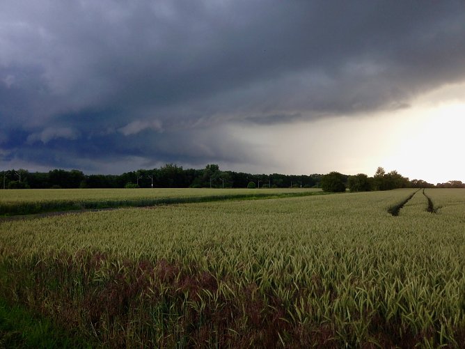 Wetterbild (Foto: nnz) Wetterbild (Foto: nnz)