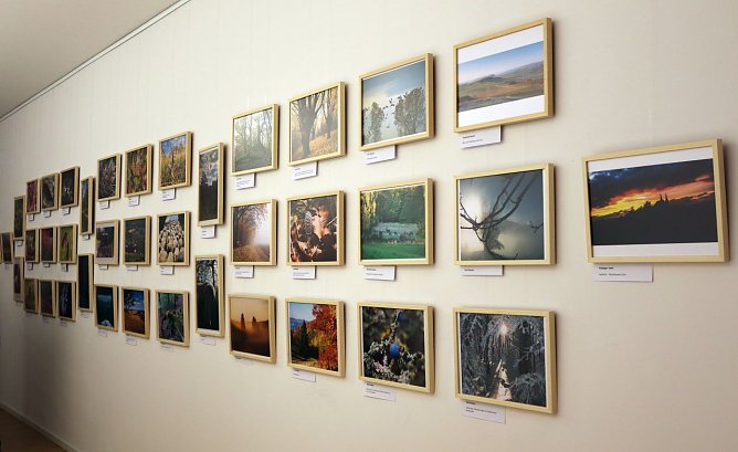 F&uuml;r die Ausstellung sind schon einige Bilder zusammengekommen (Foto: LPV S&uuml;dharz/ Kyffh&auml;user )