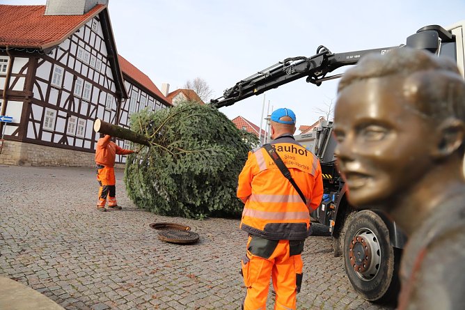 Leinefelde-Worbis sucht den Weihnachtsbaum f&uuml;r die festlichen Tage (Foto: Stadt Leinefelde-Worbis)