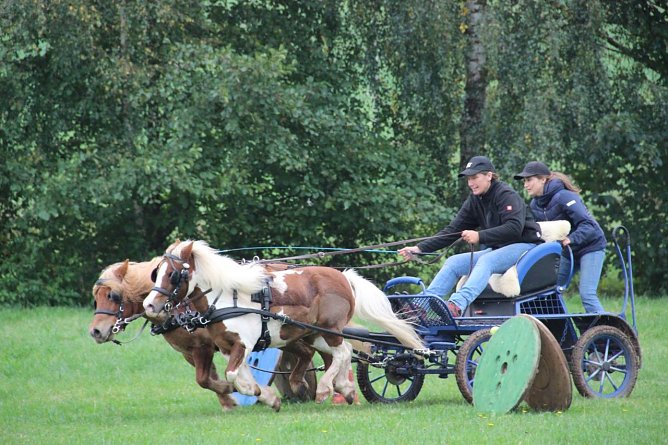Die Südharz-Rallye 2025 (Foto: Sarah Backhaus) Die Südharz-Rallye 2025 (Foto: Sarah Backhaus)