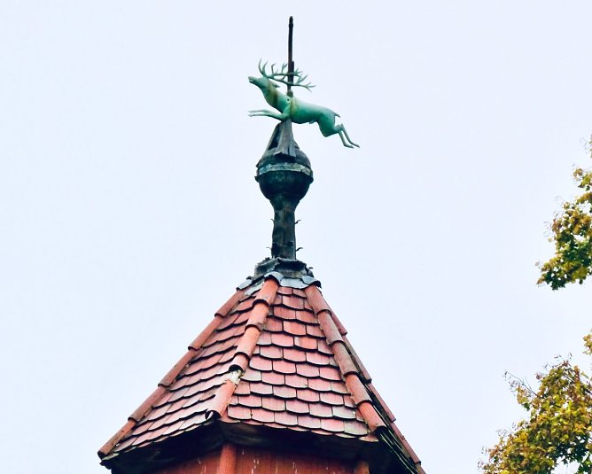 Der Hirsch auf dem Dach der Neanderklinik (Foto: Tim Schäfer) Der Hirsch auf dem Dach der Neanderklinik (Foto: Tim Schäfer)