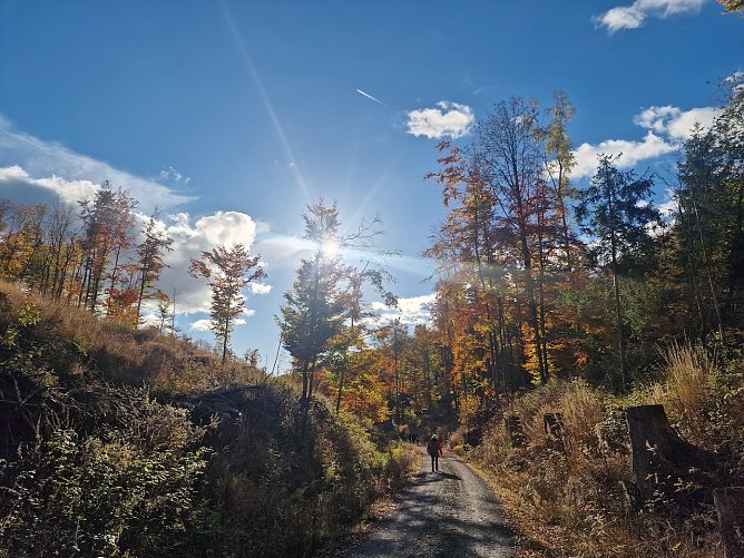 Herbstwanderung im Südharz (Foto: agl) Herbstwanderung im Südharz (Foto: agl)