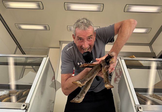 Die Marktschreier kommen wider nach Nordhausen (Foto:  Jobo)