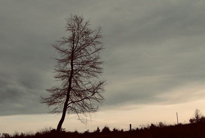 Wetterbild (Foto: agl)