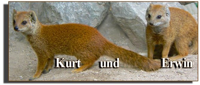 Kurt und Erwin (Foto: F. Jeschke)