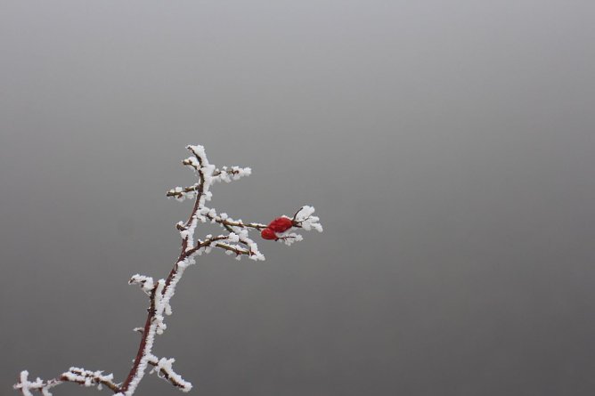 Wetterbild (Foto: agl) Wetterbild (Foto: agl)