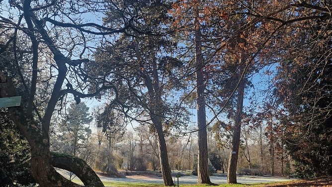 Wetterbild (Foto: agl)