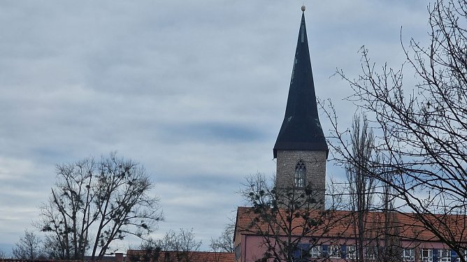 Der Petri-Turm bleibt dieses Jahr leider ohne festliche Beleuchtung (Foto: agl)
