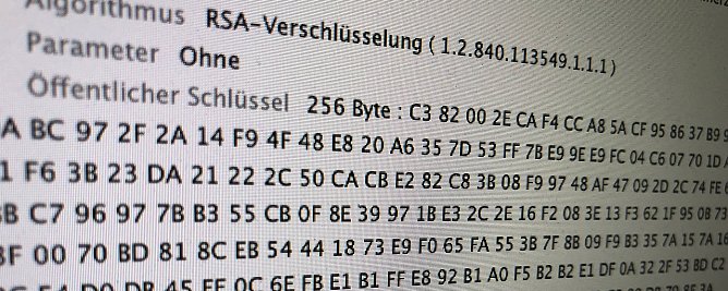 Quellcode (Foto: vgf)