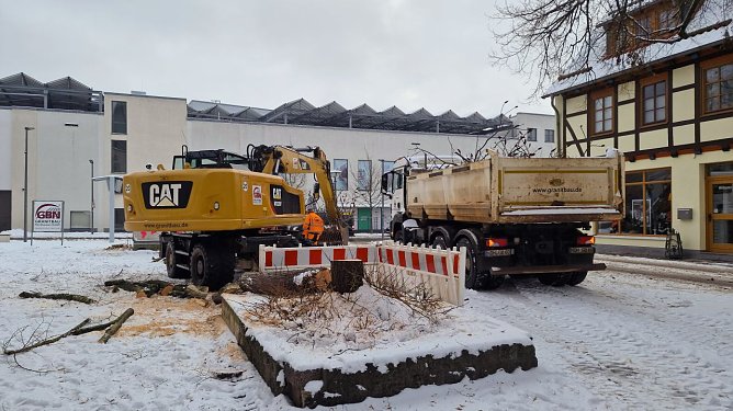 Die Linde wurde am Dienstag gefällt. (Foto: agl) Die Linde wurde am Dienstag gefällt. (Foto: agl)