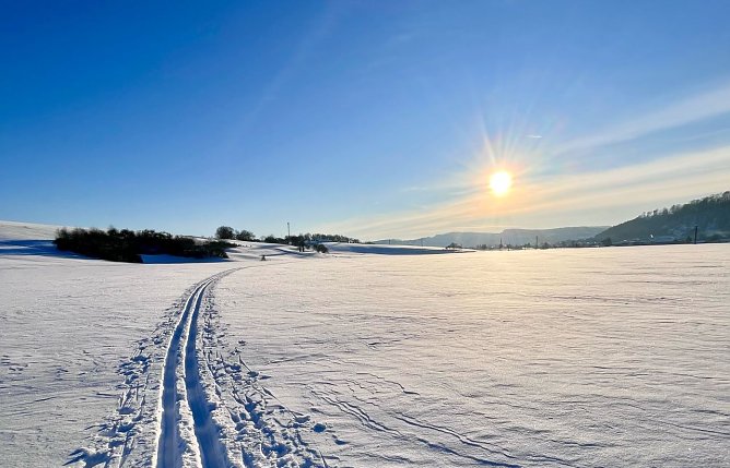 Symbolbild Wetter (Foto: ssc)