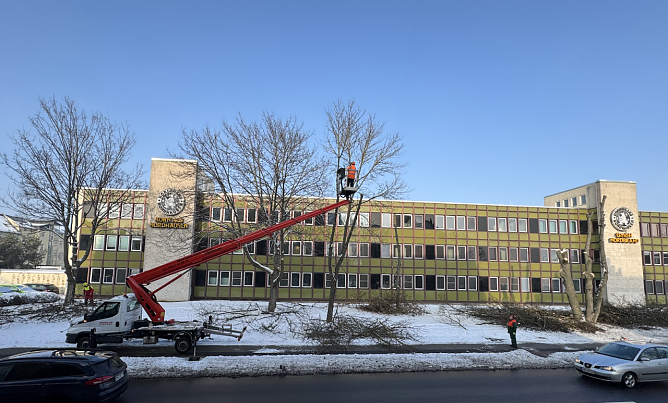 Baumfällarbeiten vor dem Nordbrandgebäude in der Arnoldstraße (Foto: privat) Baumfällarbeiten vor dem Nordbrandgebäude in der Arnoldstraße (Foto: privat)