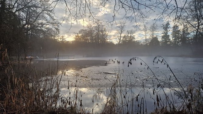 Wetterbild (Foto: agl) Wetterbild (Foto: agl)