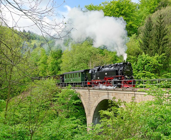 Die HSB am Viadukt &uuml;ber der Bere (Foto: HSB/Dirk Bahnsen)