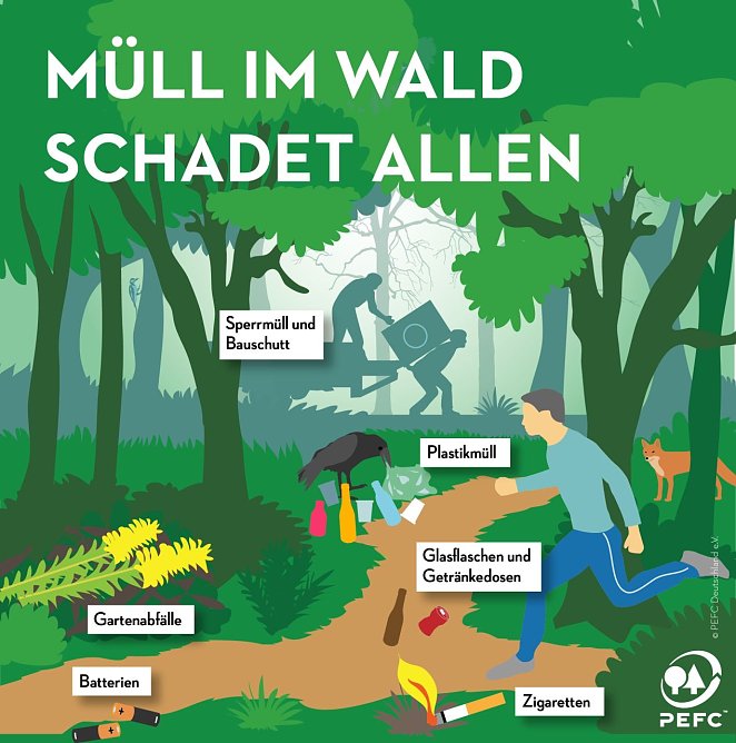 Müll im Wald schadet allen (Foto: ThüringenForst) Müll im Wald schadet allen (Foto: ThüringenForst)