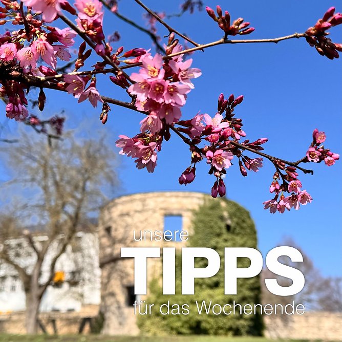 Tipps zum Wochenende (Foto: Stadtverwaltung Nordhausen)