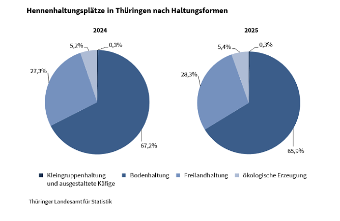 So werden H&uuml;hner in Th&uuml;ringen gehalten. (Foto: Quelle: Statitisches Landesamt)