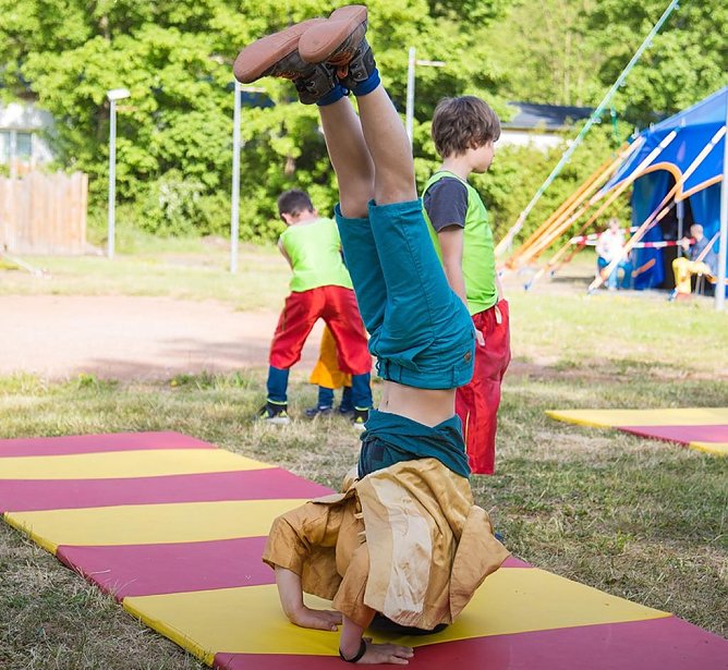 Mit Wabi Sabi starten die Zappelinis in die n&auml;chste Saison  (Foto: Studio 44)
