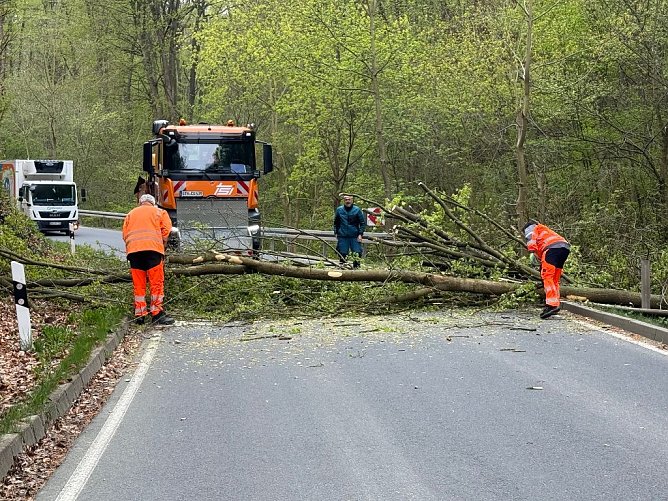 Ein umgest&uuml;rzter Baum blockierte die Stra&szlig;e zwischen Kleinfurra und Strau&szlig;berg. (Foto: Silvio Dietzel)