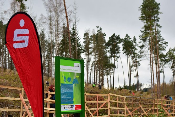 Die Wiederbewaldung mit klimastabilen Mischw&auml;ldern erfolgt dankenswerterweise mit gro&szlig;er Unterst&uuml;tzung der Bev&ouml;lkerung wie auch Wirtschaftsunternehmen (Foto: Th&uuml;ringenForst/Jan B&ouml;hm)