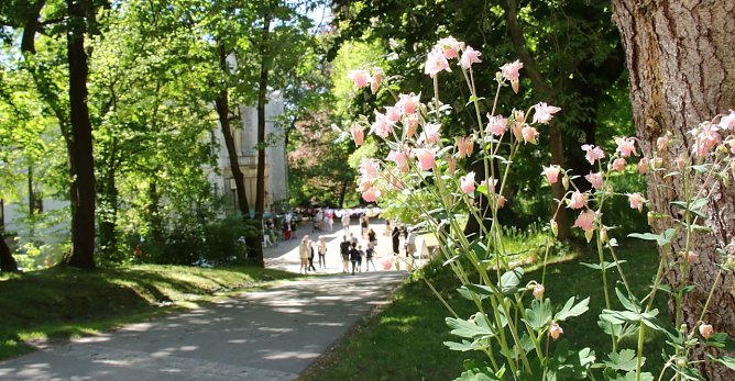 Wenn Hohenrode wieder erbl&uuml;ht ist die Zeit f&uuml;r das Parkfest gekommen, p&uuml;nktlich zum Muttertag am kommenden Sonntag (Foto: F&ouml;rderverein Park Hohenrode)
