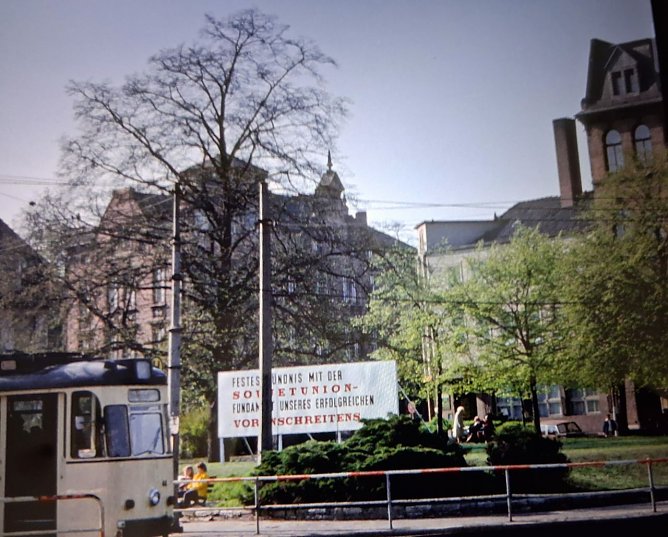 Die Linde auf dem ehemaligen Hoch-Beet war legend&auml;r. Blumen, B&auml;nke und Gr&uuml;n ringsum zierten es. Gern wurde auf den B&auml;nken verweilt. (Foto: Archiv K. Frank)