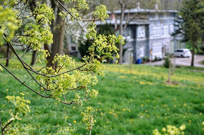 Symbolbild Fr&uuml;hling (Foto: ssc)