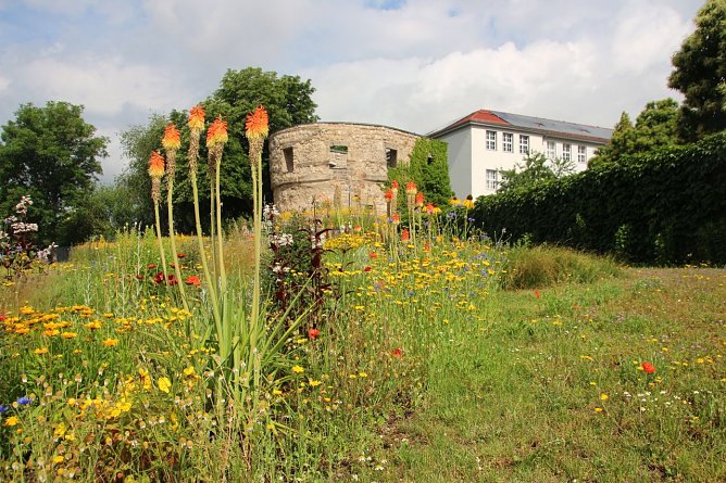 Das ehemalige Landesgartenschaugel&auml;nde auf dem Petersberg in Nordhausen.  (Foto: Stadtverwaltung Nordhausen)