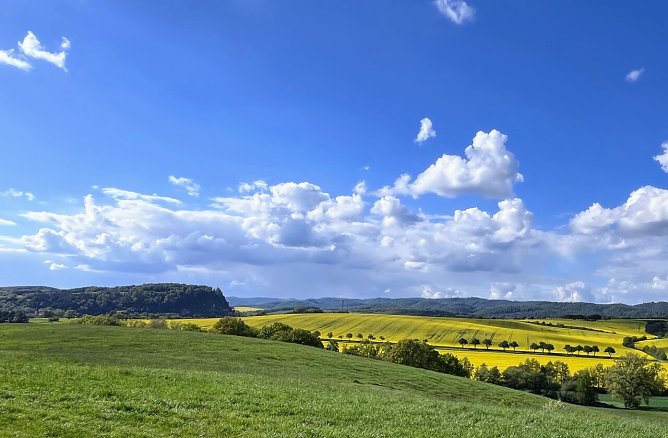 Symbolbild Fr&uuml;hling (Foto: ssc)