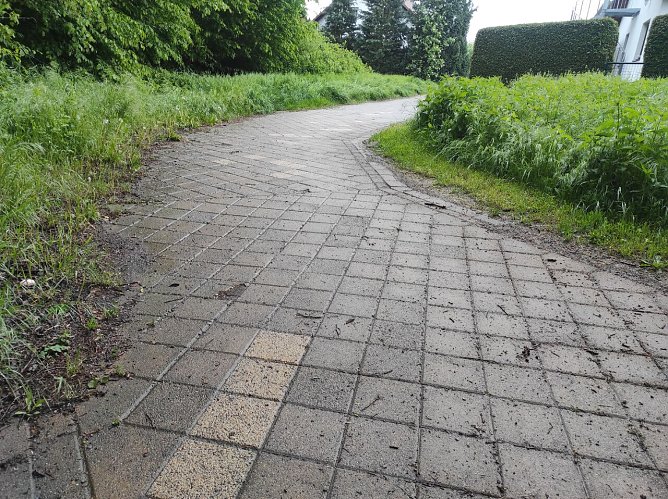 &Uuml;ber den umgem&auml;hten Rasen im den Wohngebiet in Nordhausen-Ost &auml;rgert sich der Leser. Der Name ist der Redaktion bekannt.  (Foto: Leser/privat)