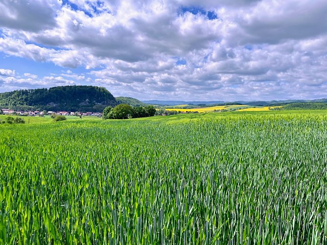 Symbolbild Wetter (Foto: ssc) Symbolbild Wetter (Foto: ssc)