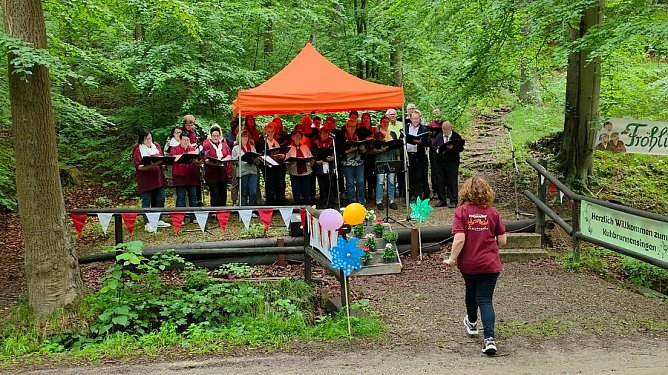 Im Wald bei Bleicherode wird wieder gesungen.  (Foto: Katharina Mohs)