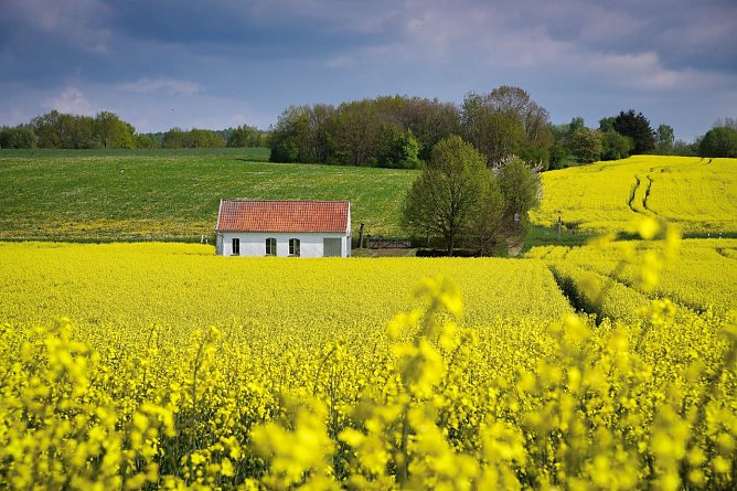 Symbolbild Wetter (Foto: ssc)