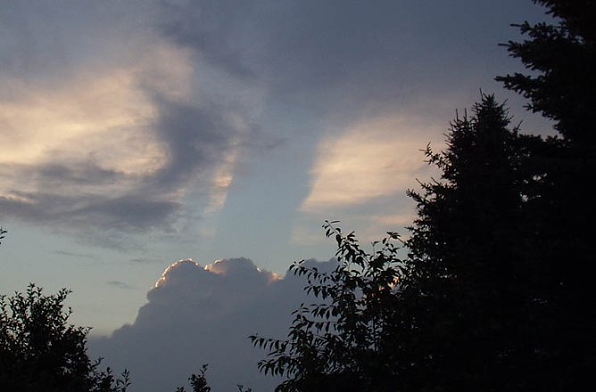 Beobachtet (Foto: nnz) Beobachtet (Foto: nnz)