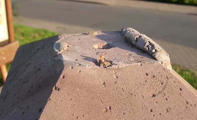 Rohe Gewalt (Foto: nnz)