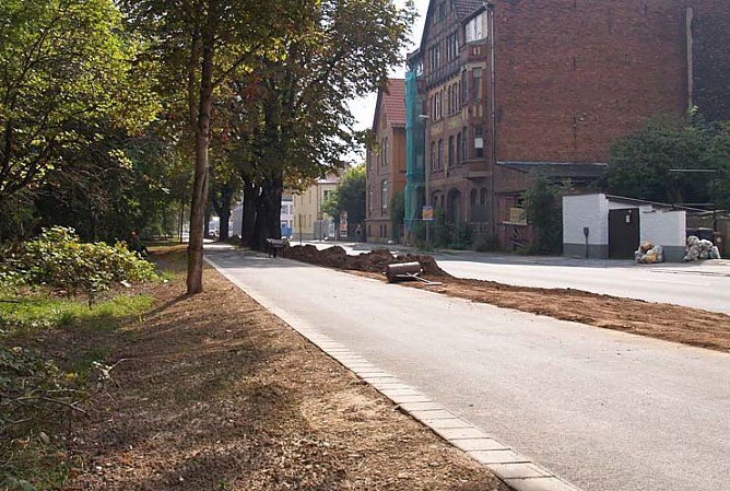 Fast fertig (Foto: nnz)