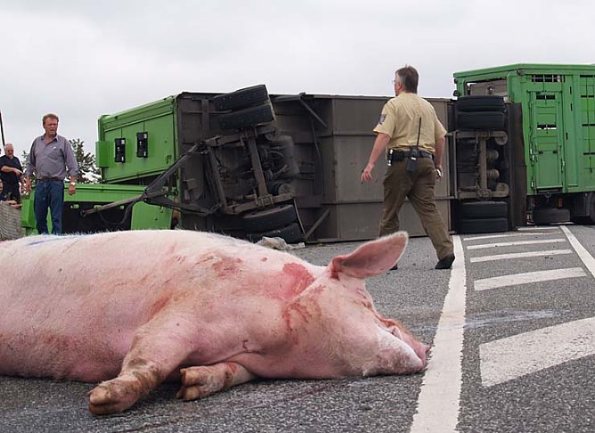 Schwerer Unfall (Foto: nnz) Schwerer Unfall (Foto: nnz)