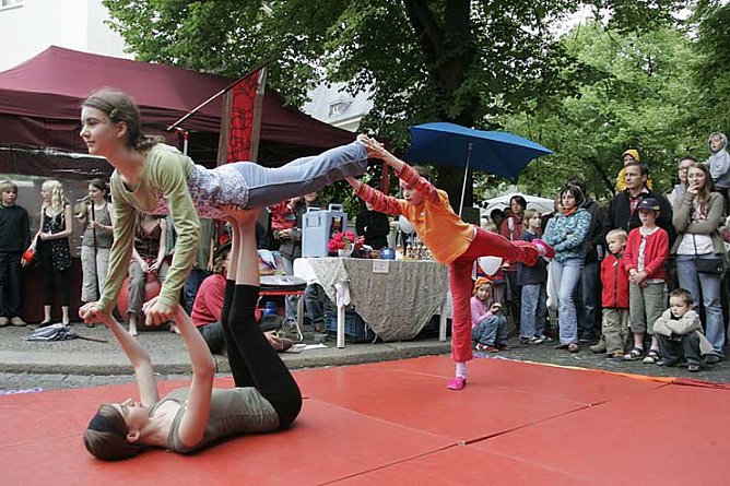 Klatschmohn in Aktion (Foto: Jens Schl&uuml;ter)