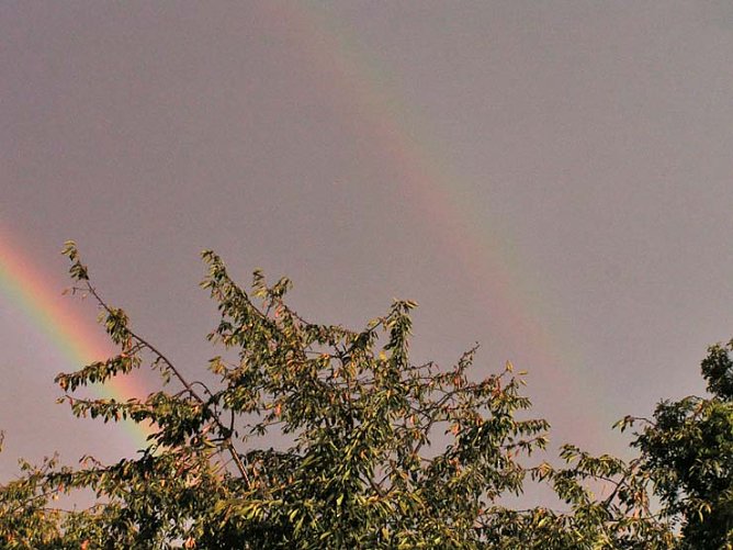 Doppelter Bogen (Foto: S. Lutze)