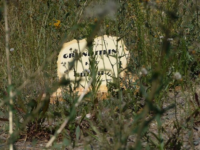 Unterschiede (Foto: nnz)