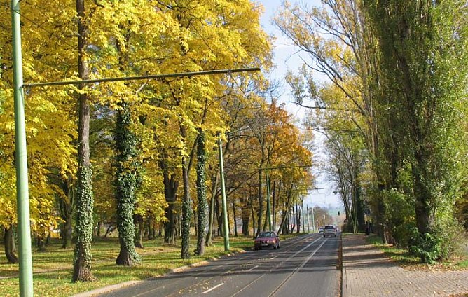 Und weg damit (Foto: psv)