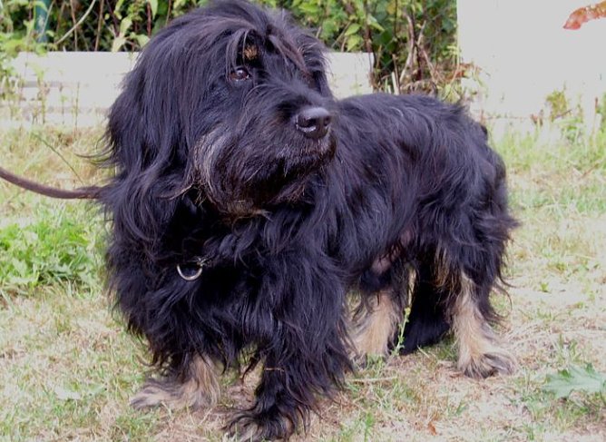 Vergessen? (Foto: C. Knust)