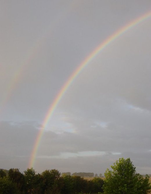 regenbogen (Foto: privat)