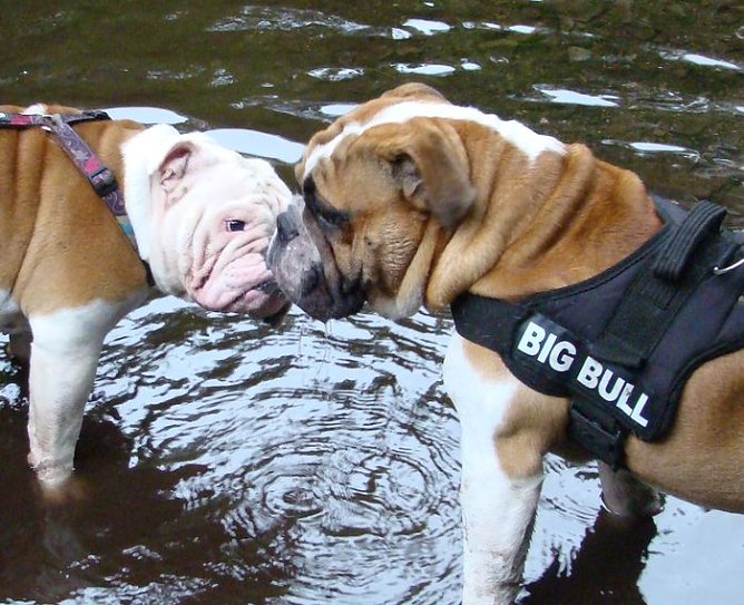 4 von 40 (Foto: S. Witzel) 4 von 40 (Foto: S. Witzel)