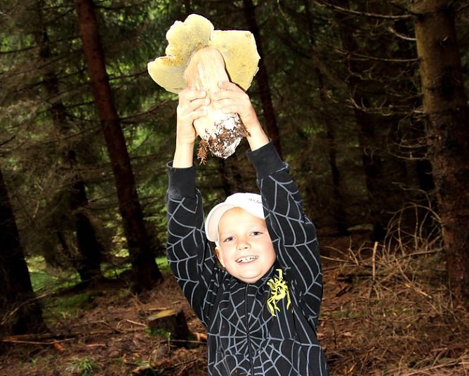 In den Pilzen (Foto: privat) In den Pilzen (Foto: privat)