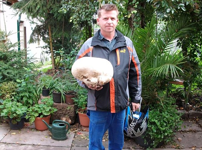 Pilz (Foto: privat) Pilz (Foto: privat)