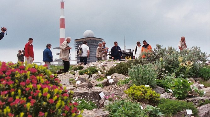 Seltene Pflanzen (Foto: nnz)
