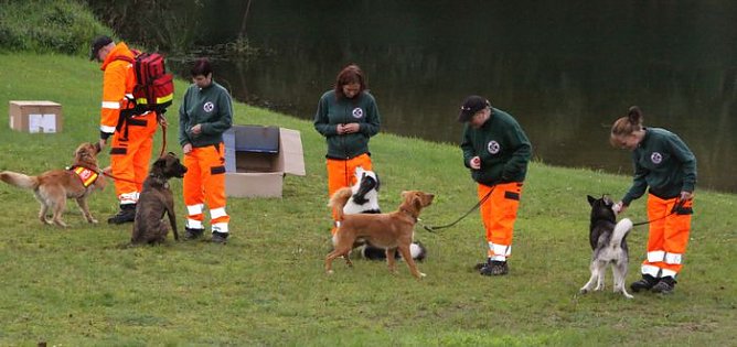 Festwoche (Foto: KSB)