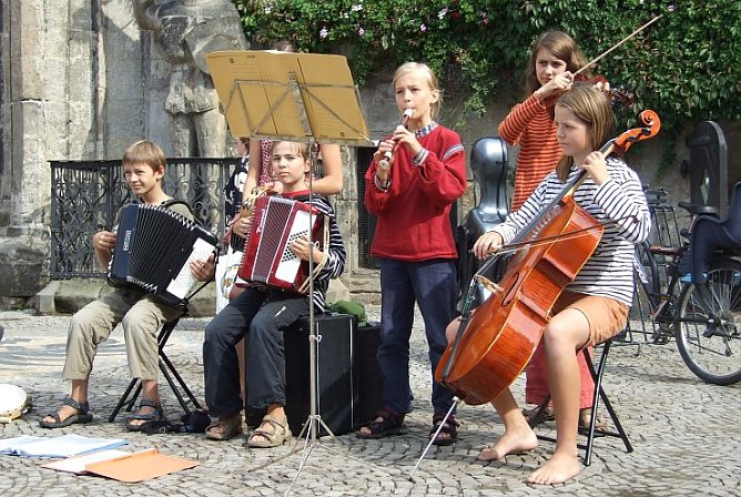 Klatschmohn (Foto: TN)