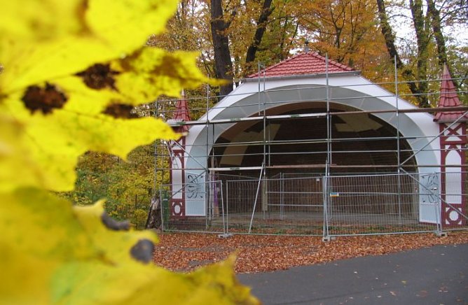 Schmucke Muschel (Foto: psv) Schmucke Muschel (Foto: psv)